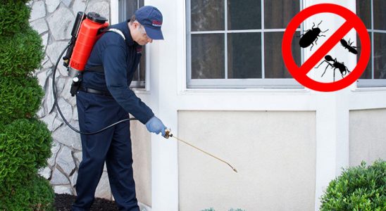 Pertek Dezenfeksiyon böcek ilaçlama ve haşere kontrolü — ilaclama-tr.com